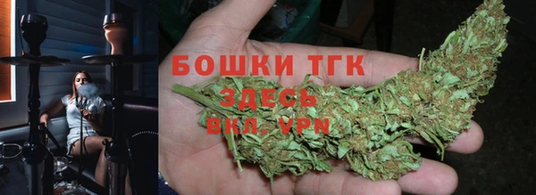 мет Пересвет