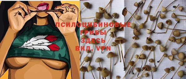 прущая мука Балахна