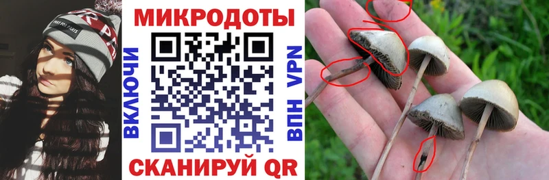 Галлюциногенные грибы прущие грибы  Северо-Курильск 
